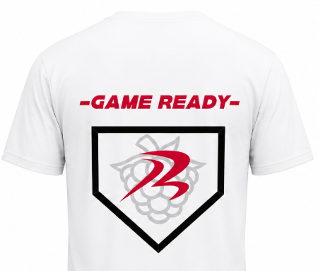 Game Ready Crop Top